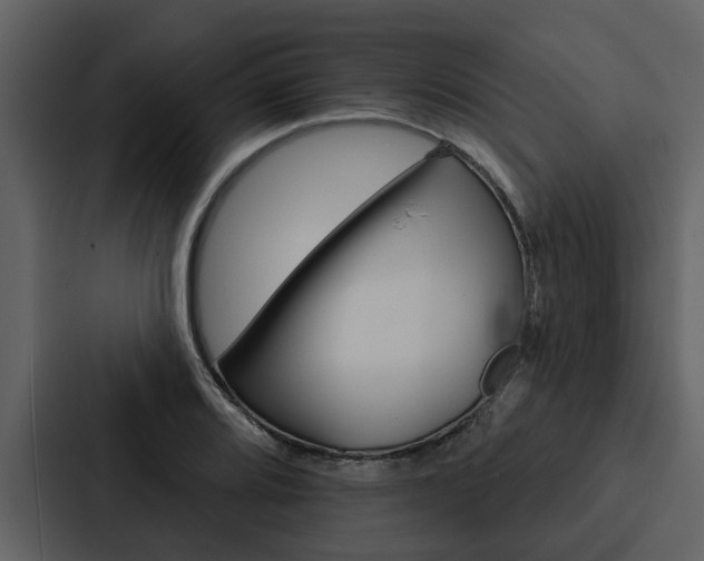 X0000088141080200705141027