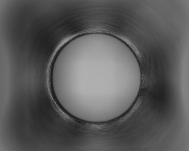X0000088141086200705141027