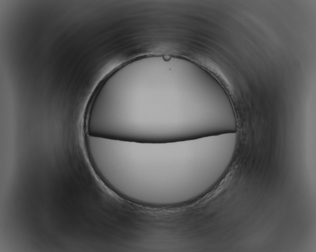 X0000088141087200705141027