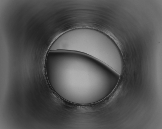 X0000088141089200705141027