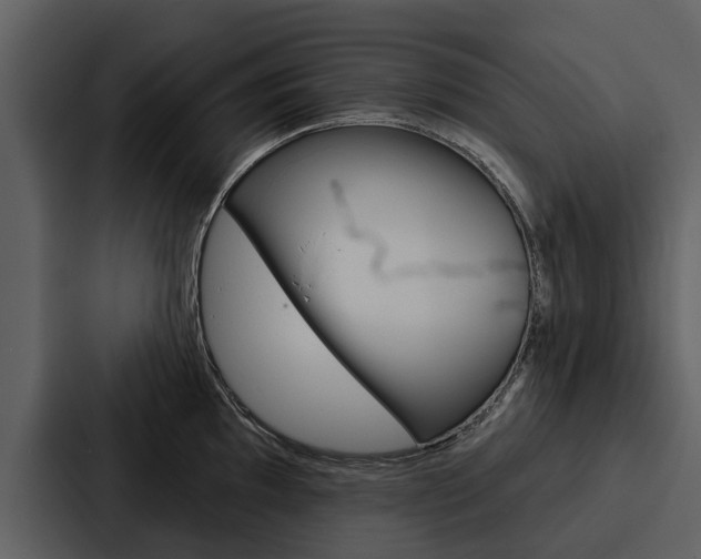 X0000088141097200705141027