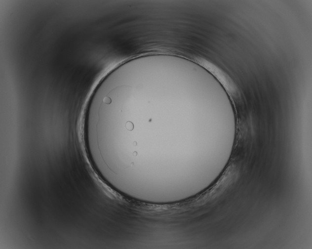 X0000088141098200705141027