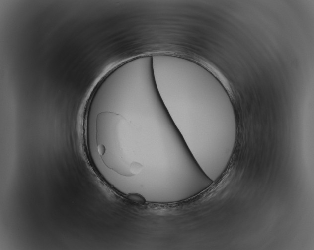 X0000088141099200705141027