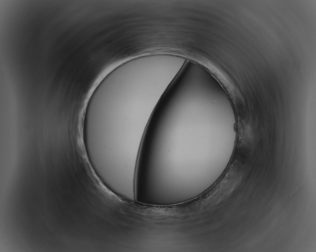 X0000088141102200705141027