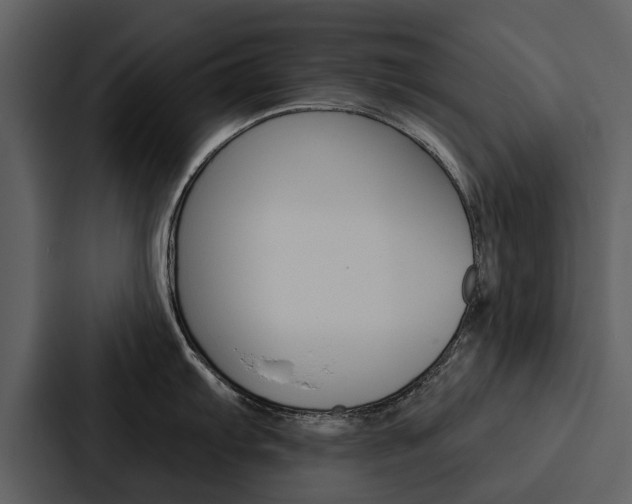 X0000088141103200705141027