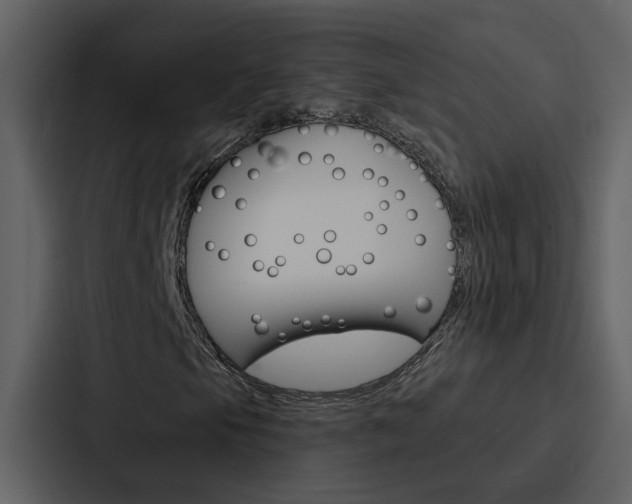 X0000088141105200705141026