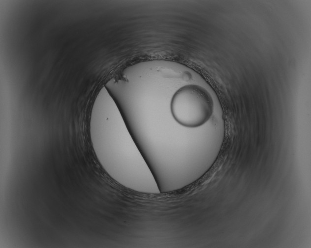X0000088141106200705141026
