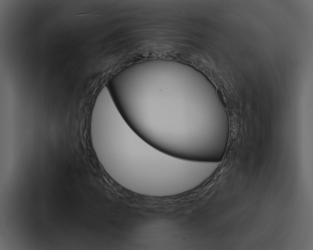 X0000088141109200705141026