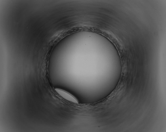X0000088141110200705141026