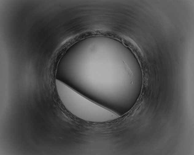 X0000088141112200705141026