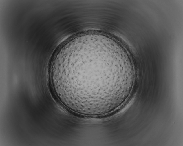 X0000088141113200705141026