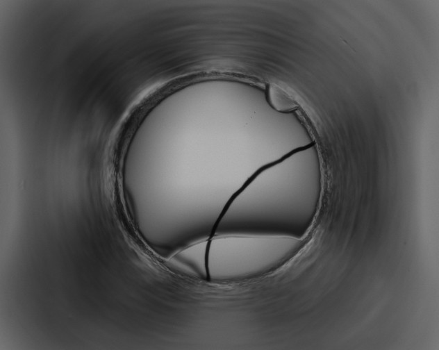X0000088141115200705141026