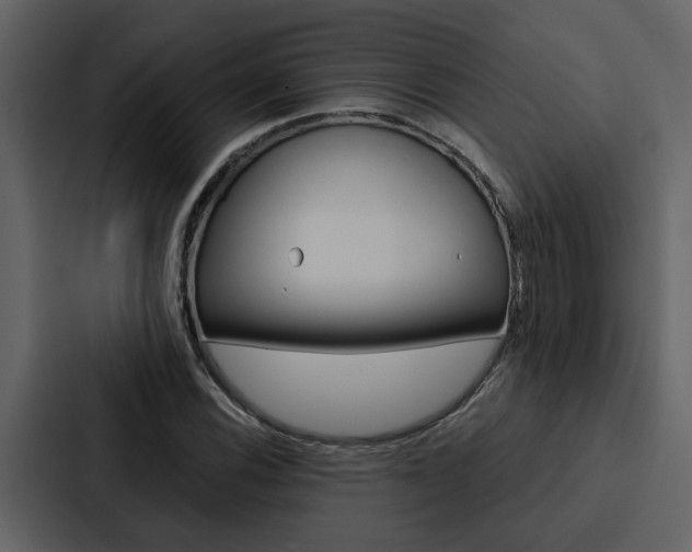 X0000088141116200705141026