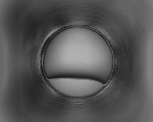 X0000088141119200705141026