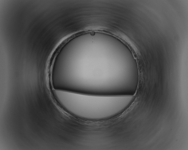 X0000088141124200705141026