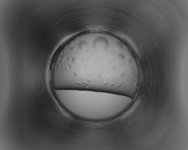 X0000088141125200705141026