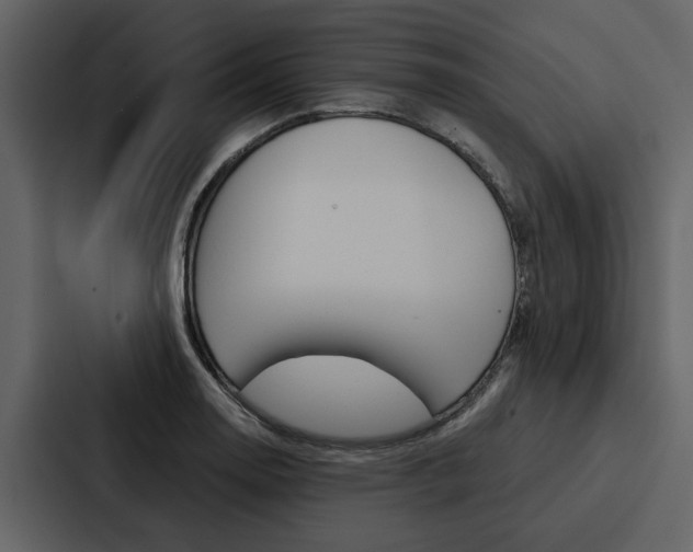 X0000088141130200705141026