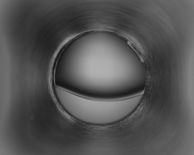 X0000088141136200705141026