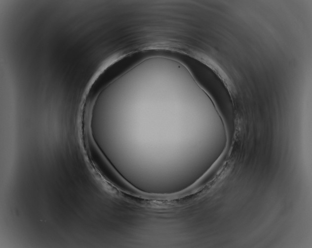 X0000088141138200705141026
