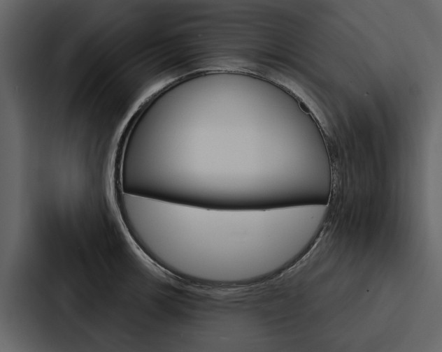 X0000088141139200705141026