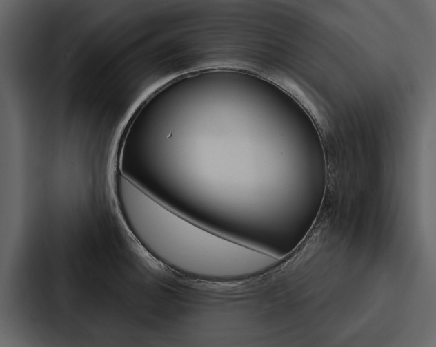 X0000088141140200705141026
