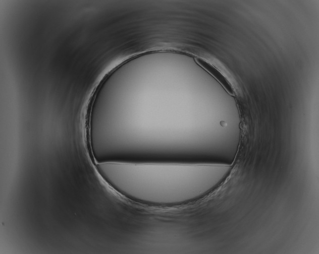 X0000088141143200705141026