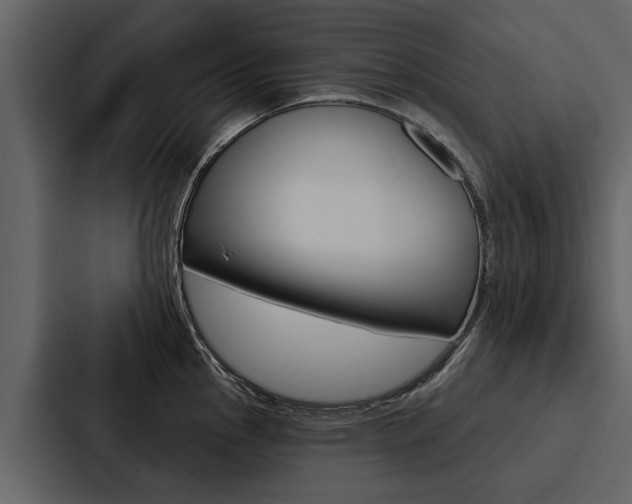 X0000088141145200705141026