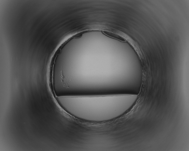 X0000088141147200705141026