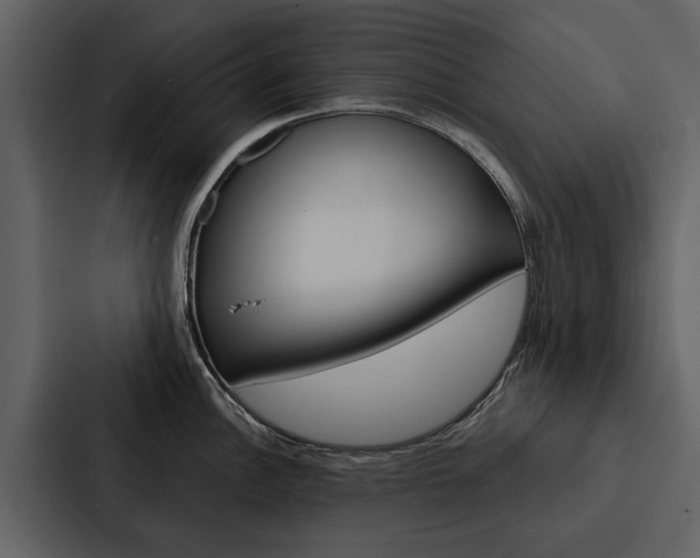 X0000088141148200705141026