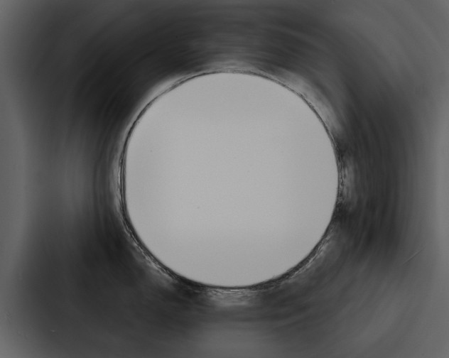 X0000088141150200705141026