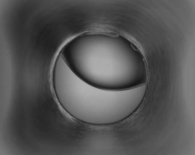 X0000088141152200705141026