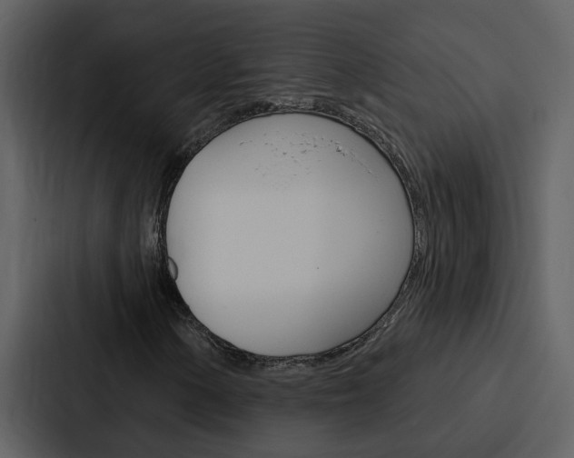 X0000088141154200705141026