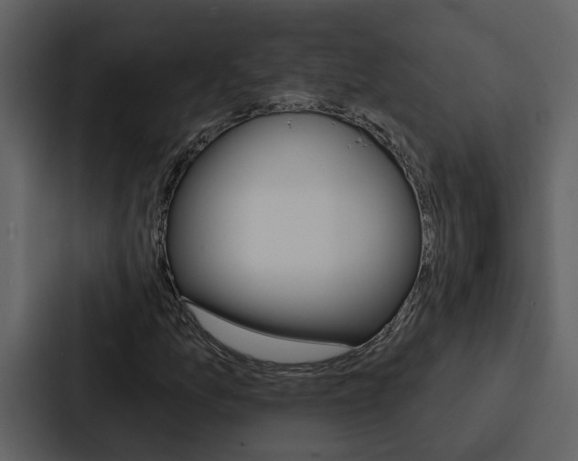 X0000088141157200705141026
