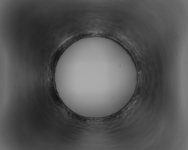 X0000088141158200705141026