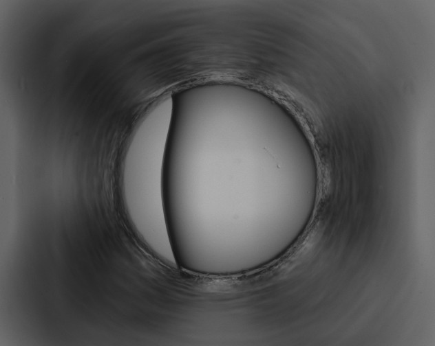 X0000088141161200705141026