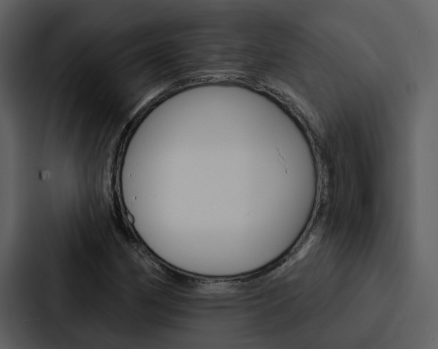X0000088141162200705141026