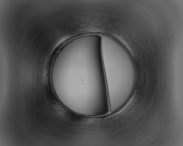 X0000088141163200705141026