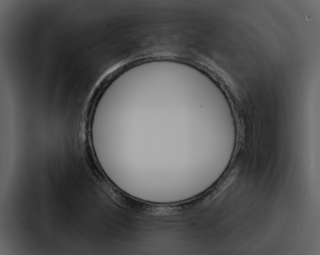 X0000088141166200705141026