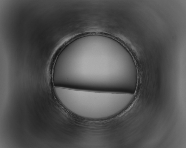 X0000088141167200705141026