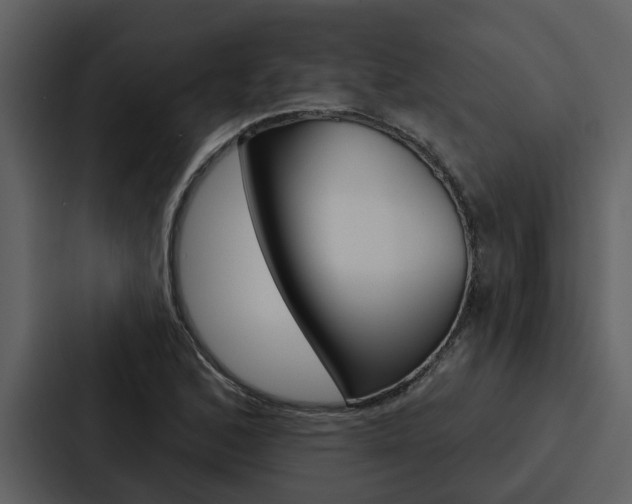 X0000088141168200705141026
