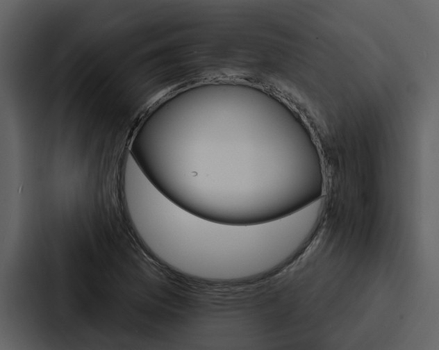 X0000088141169200705141026