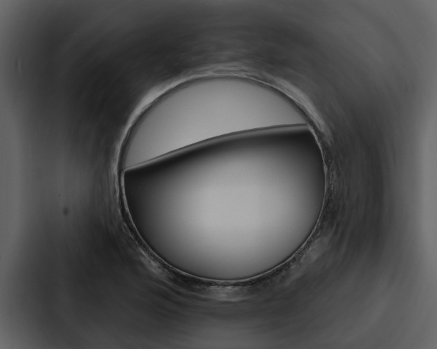 X0000088141176200705141026