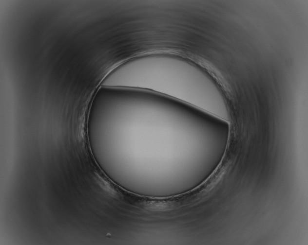 X0000088141177200705141026