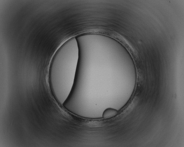 X0000088141178200705141026