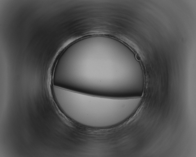 X0000088141179200705141026