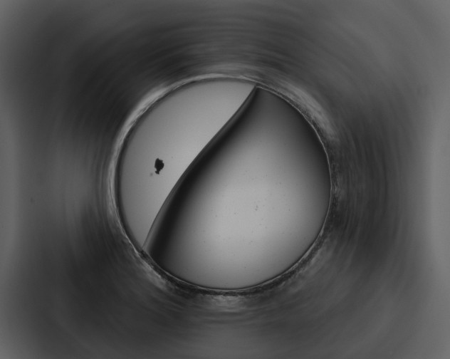 X0000088141180200705141026