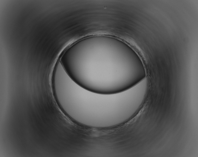 X0000088141181200705141025