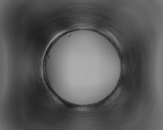 X0000088141182200705141025