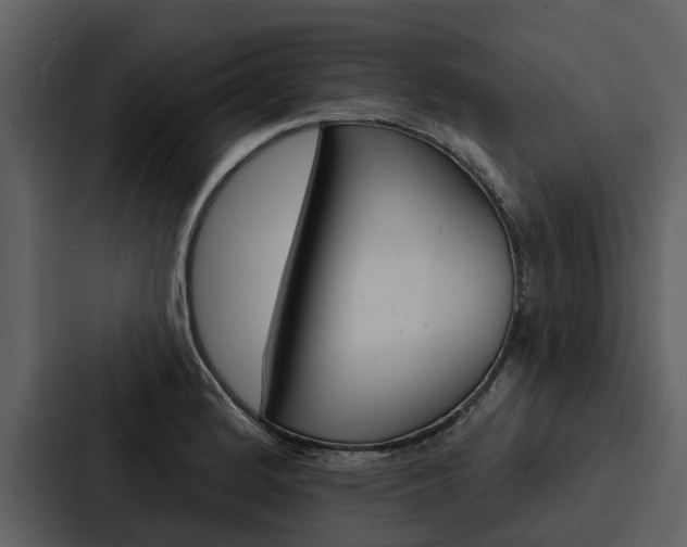X0000088141184200705141025