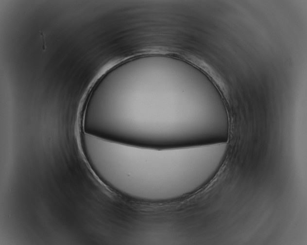 X0000088141187200705141025
